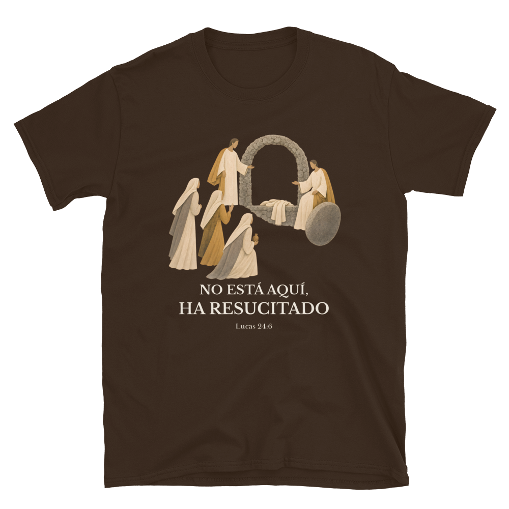 Softstyle Printful Flat · Dark Chocolate