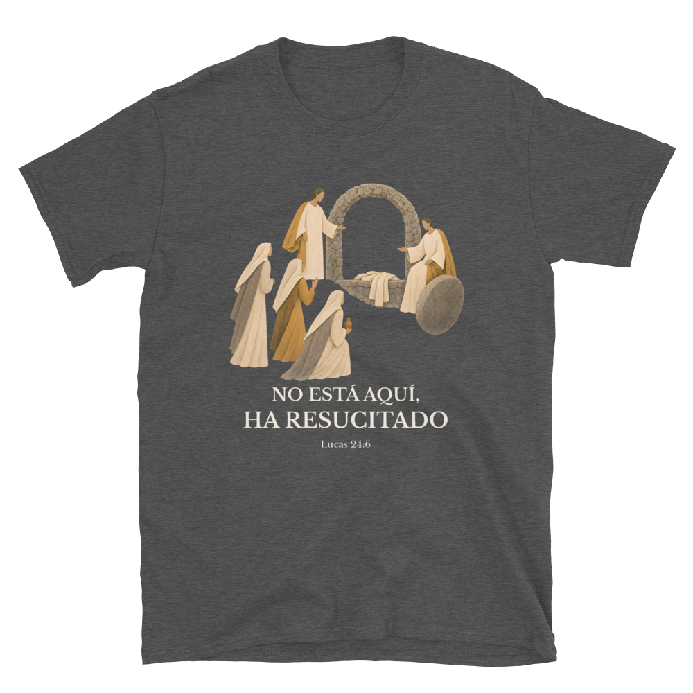Softstyle Printful Flat · Dark Heather Grey
