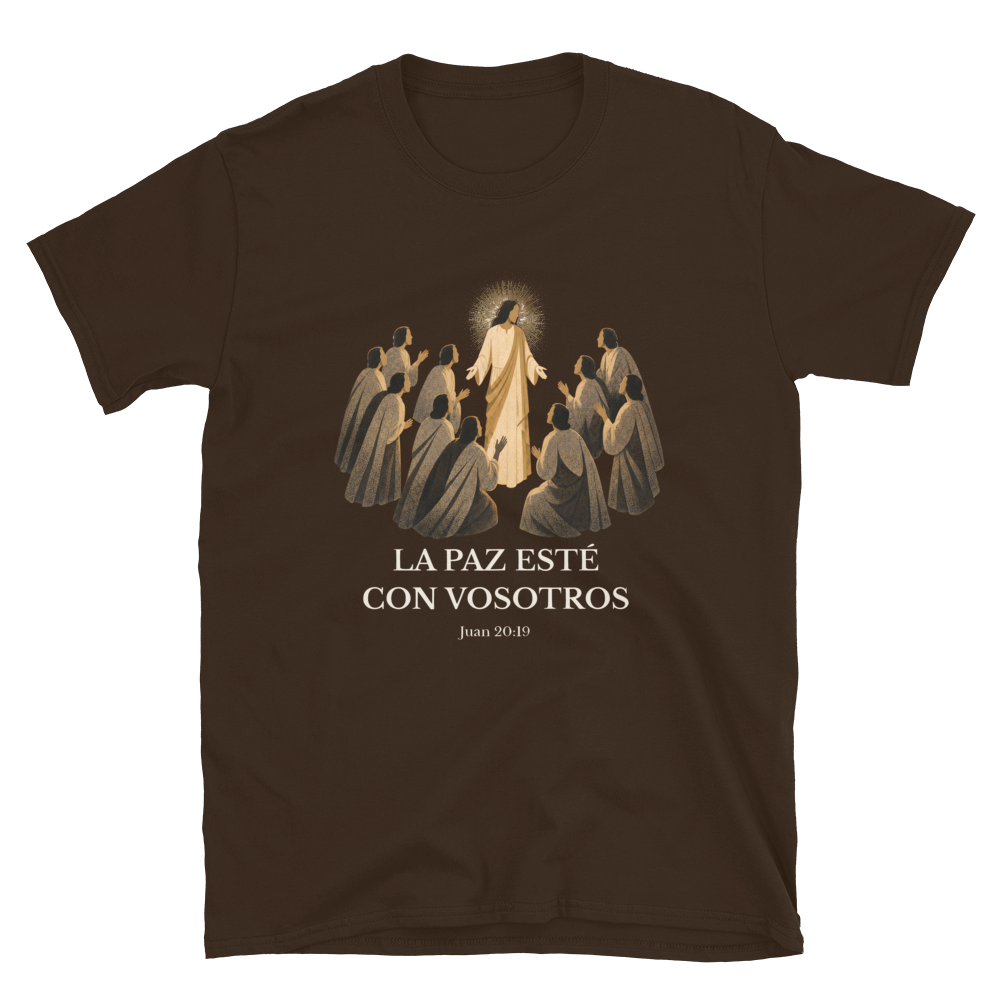 Softstyle Printful Flat · Dark Chocolate
