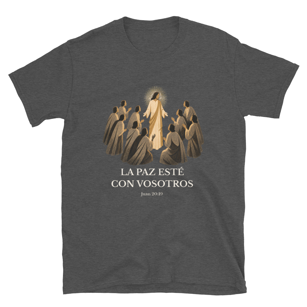 Softstyle Printful Flat · Dark Heather Grey
