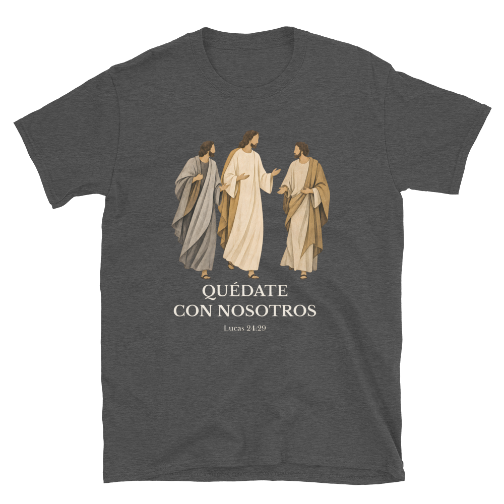 Softstyle Printful Flat · Dark Heather Grey