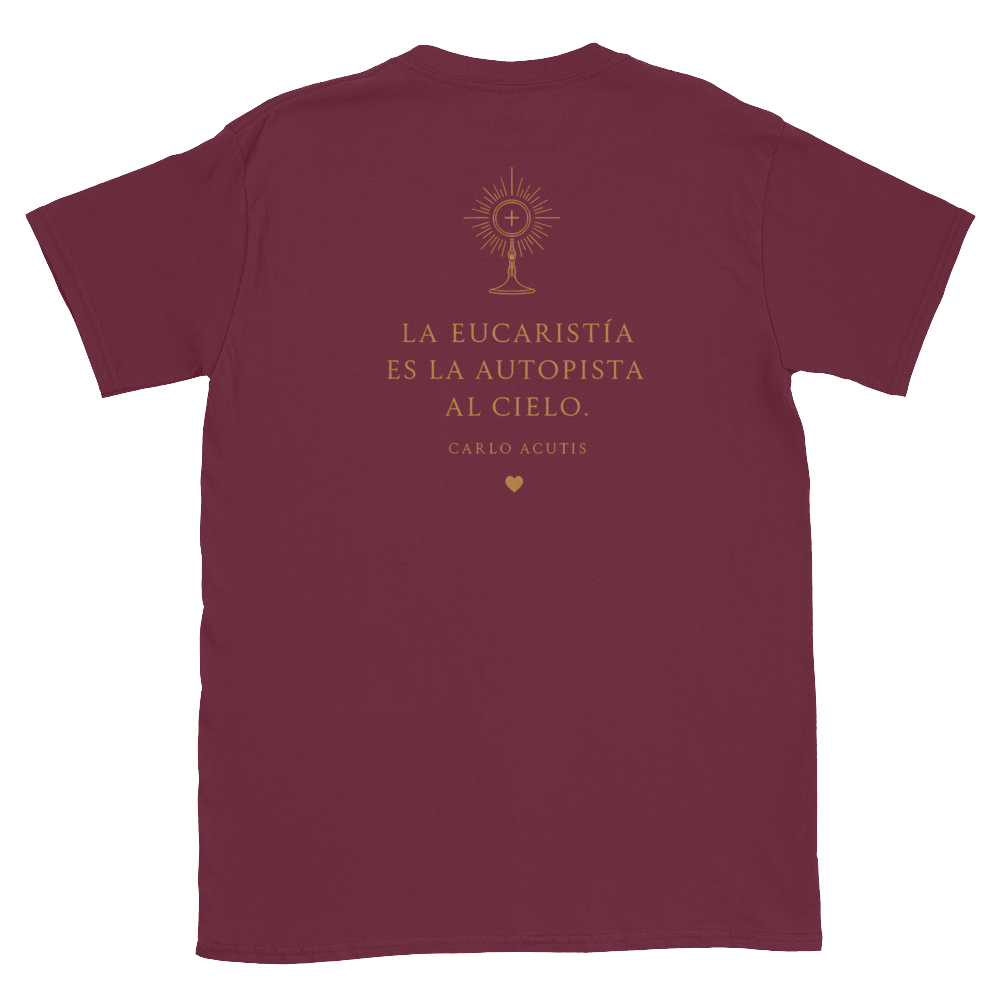 San Carlo Acutis Navy Tee — back · Maroon