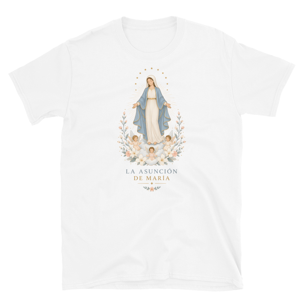 Softstyle Printful Flat